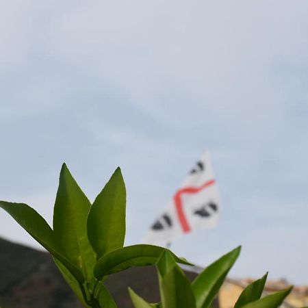 Sa Mariposa Bed & Breakfast Муравера Екстериор снимка