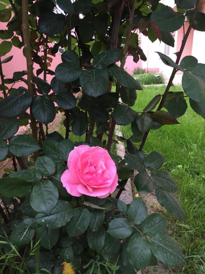 Sa Mariposa Bed & Breakfast Муравера Екстериор снимка