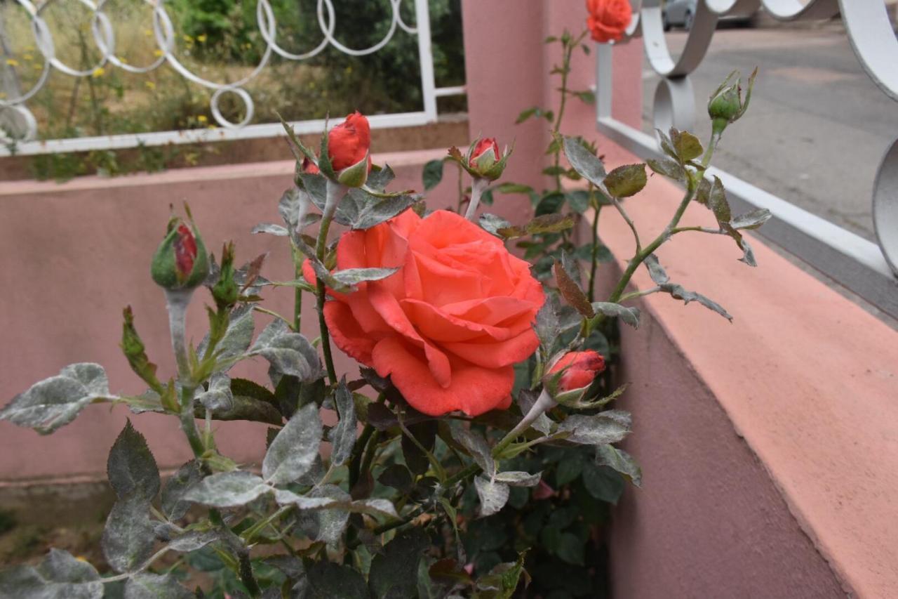 Sa Mariposa Bed & Breakfast Муравера Екстериор снимка
